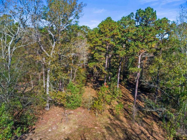 TBD CR 396, Tyler, TX 75708
