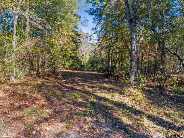 TBD CR 396, Tyler, TX 75708