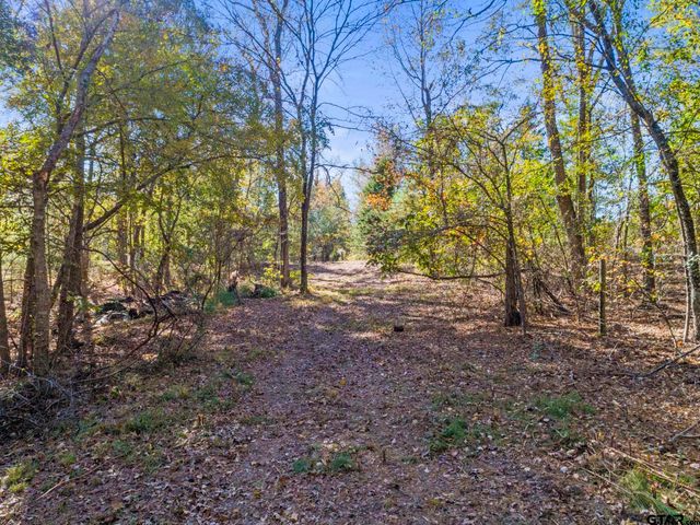 TBD CR 396, Tyler, TX 75708