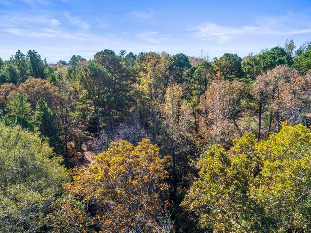 TBD CR 396, Tyler, TX 75708