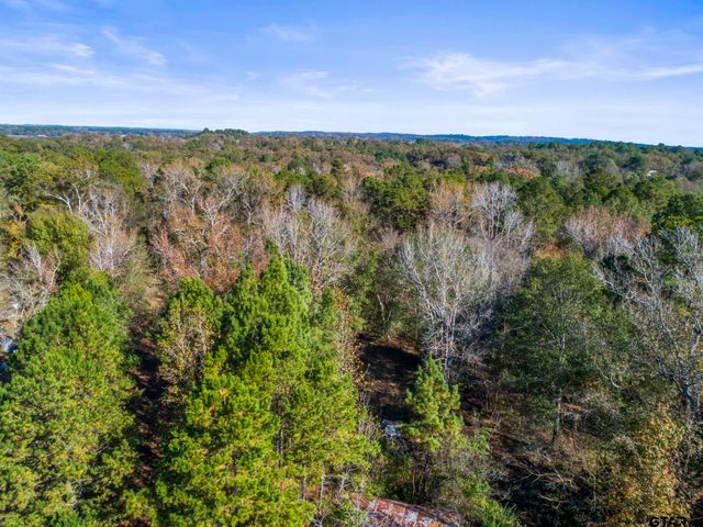 TBD CR 396, Tyler, TX 75708