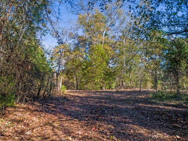 TBD CR 396, Tyler, TX 75708