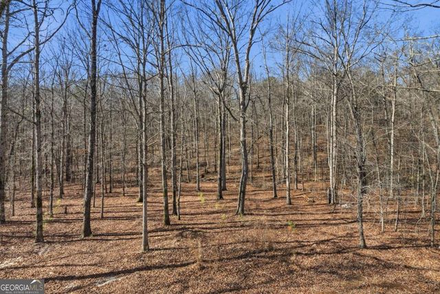 5975 Windsor Creek Drive, Douglasville, GA 30135