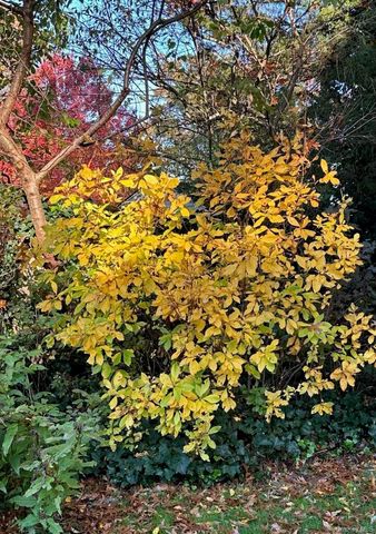 5 Shawmont Lane, Stony Brook, NY 11790