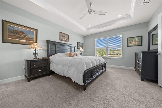 17663 TURNING LEAF CIRCLE, Land O Lakes, FL 34638