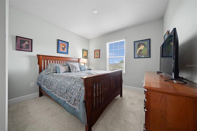 17663 TURNING LEAF CIRCLE, Land O Lakes, FL 34638