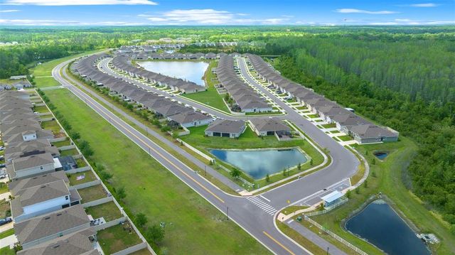 17663 TURNING LEAF CIRCLE, Land O Lakes, FL 34638