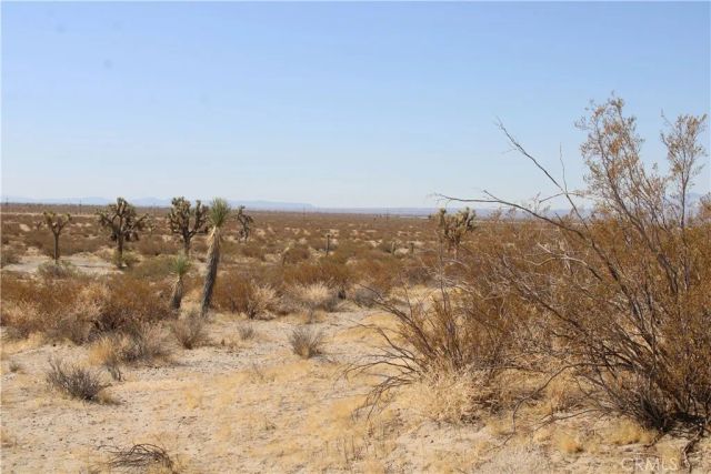 19 Lessing, Adelanto, CA 92301