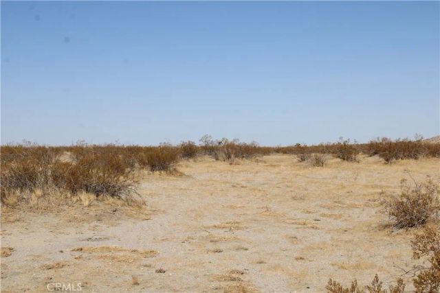19 Lessing, Adelanto, CA 92301