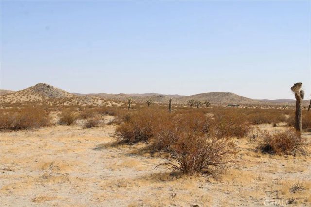 19 Lessing, Adelanto, CA 92301