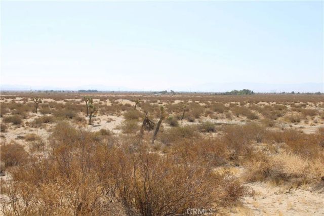 19 Lessing, Adelanto, CA 92301