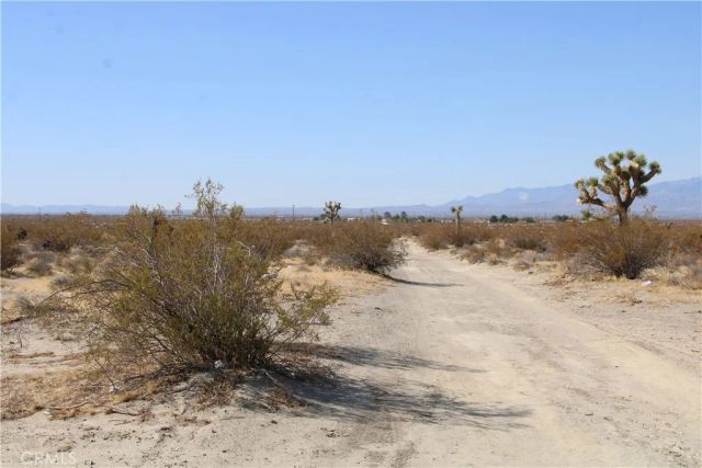 19 Lessing, Adelanto, CA 92301