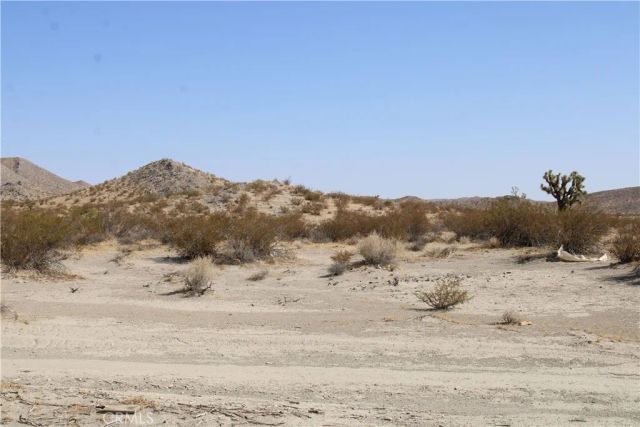 19 Lessing, Adelanto, CA 92301
