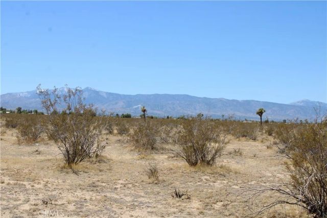 19 Lessing, Adelanto, CA 92301