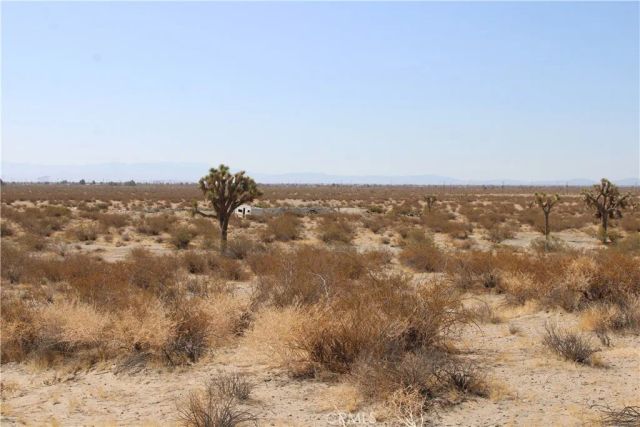 19 Lessing, Adelanto, CA 92301