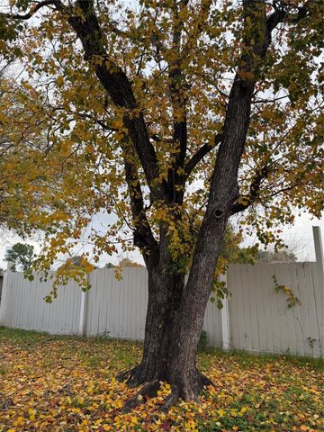 11819 Meadowchase Drive, Houston, TX 77065