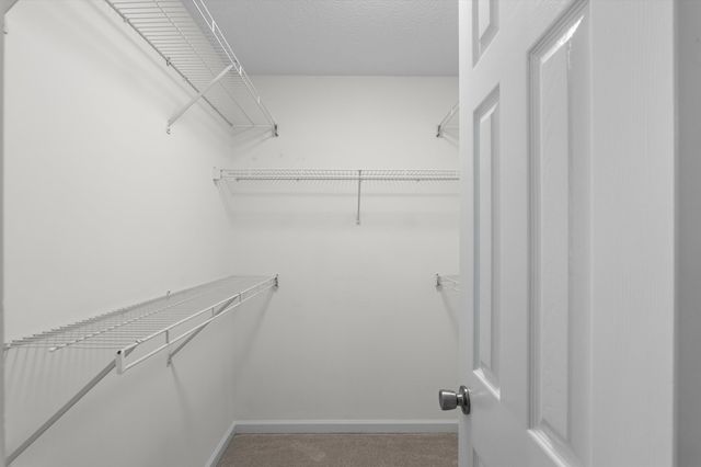 486 Old Walnut Branch, North Augusta, SC 29860