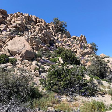 5850 Cactus Canyon Trail, Yucca Valley, CA 92284
