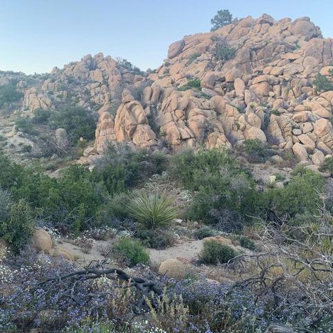 5850 Cactus Canyon Trail, Yucca Valley, CA 92284