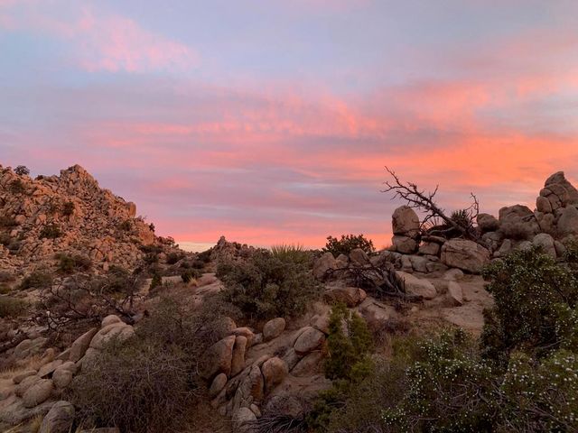 5850 Cactus Canyon Trail, Yucca Valley, CA 92284