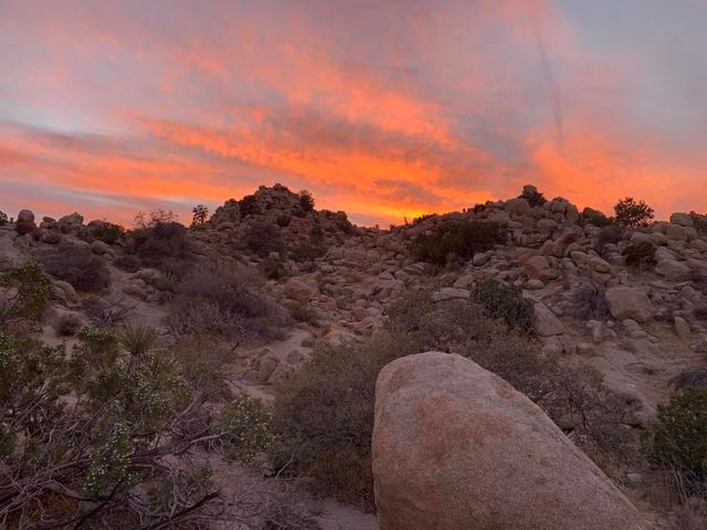5850 Cactus Canyon Trail, Yucca Valley, CA 92284