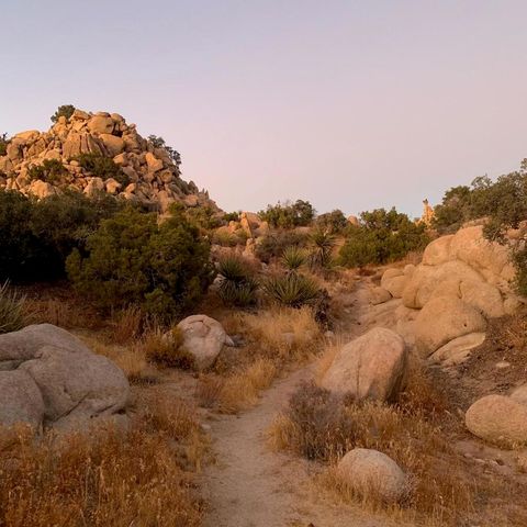 5850 Cactus Canyon Trail, Yucca Valley, CA 92284