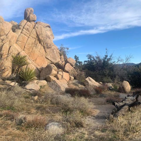 5850 Cactus Canyon Trail, Yucca Valley, CA 92284