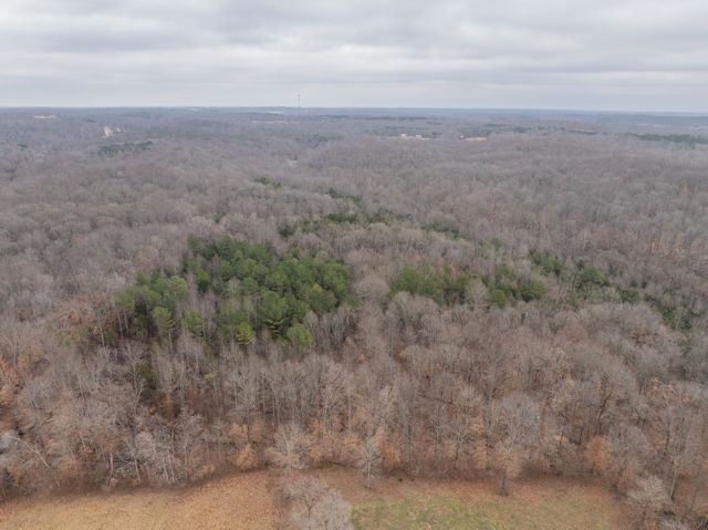 0 Wiley Branch Road, Dickson, TN 37055