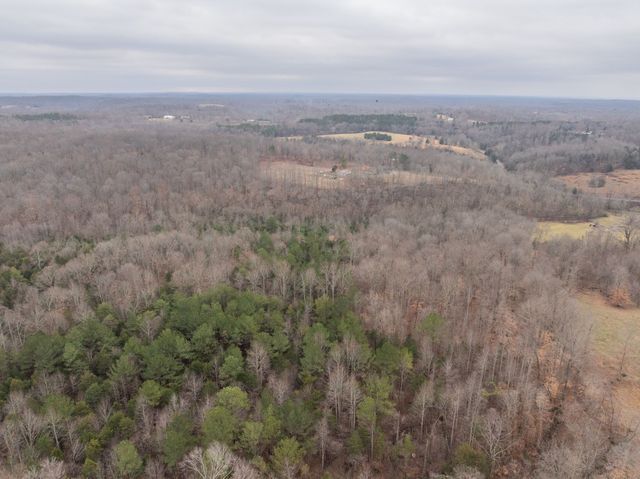 0 Wiley Branch Road, Dickson, TN 37055