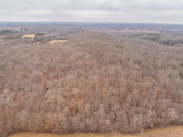 0 Wiley Branch Road, Dickson, TN 37055