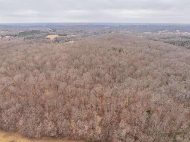 0 Wiley Branch Road, Dickson, TN 37055