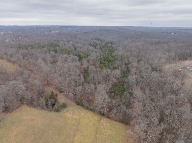 0 Wiley Branch Road, Dickson, TN 37055