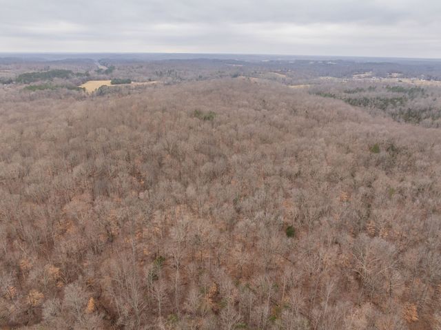 0 Wiley Branch Road, Dickson, TN 37055