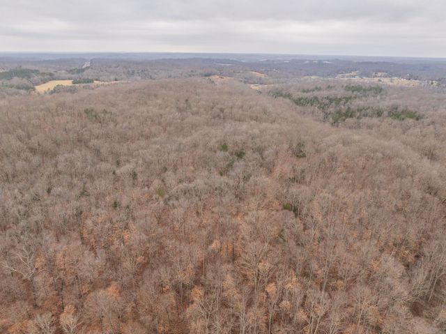 0 Wiley Branch Road, Dickson, TN 37055