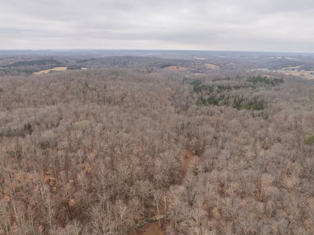 0 Wiley Branch Road, Dickson, TN 37055