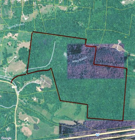 0 Wiley Branch Road, Dickson, TN 37055