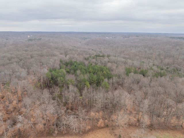 0 Wiley Branch Road, Dickson, TN 37055