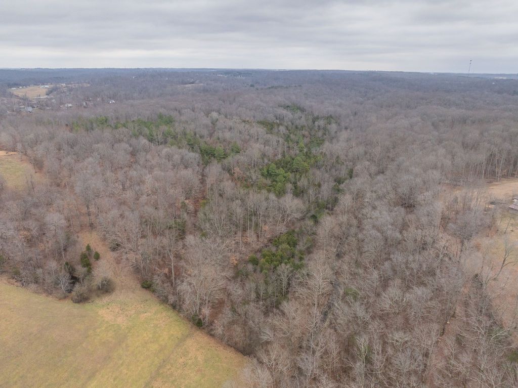 0 Wiley Branch Road, Dickson, TN 37055