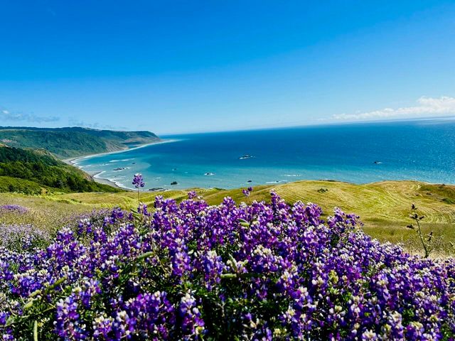 26000 Mattole Road, Ferndale, CA 95536