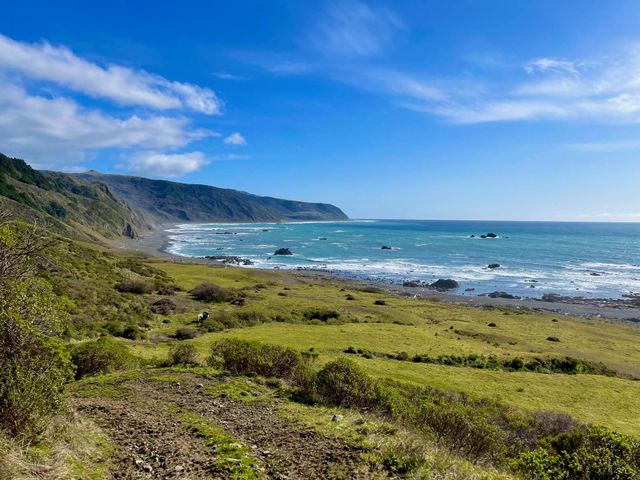 26000 Mattole Road, Ferndale, CA 95536