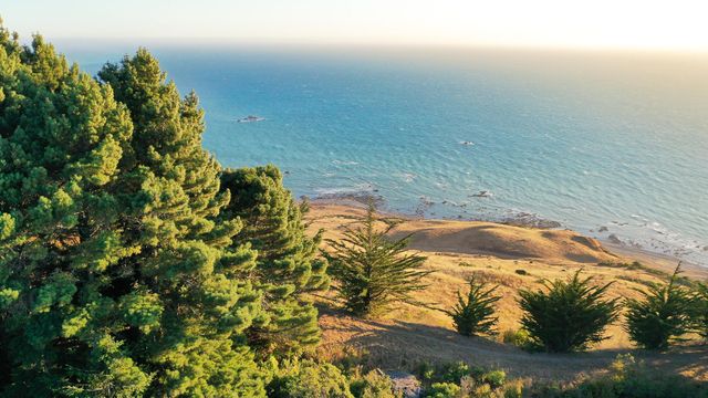 26000 Mattole Road, Ferndale, CA 95536