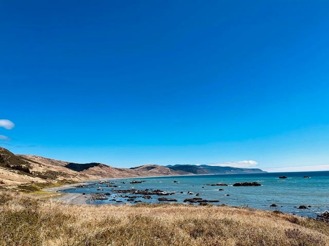 26000 Mattole Road, Ferndale, CA 95536