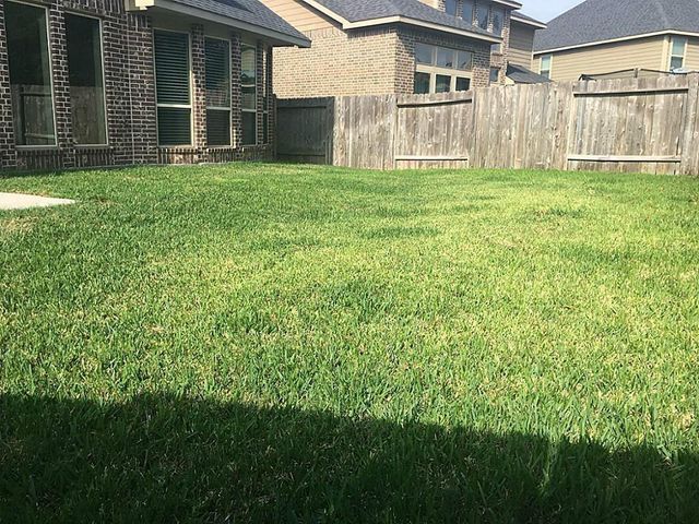 27802 Amy Willow Lane, Spring, TX 77386