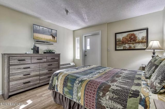 413 Baskins Creek Rd 501, Gatlinburg, TN 37738