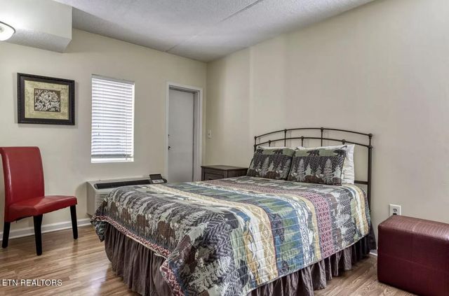 413 Baskins Creek Rd 501, Gatlinburg, TN 37738