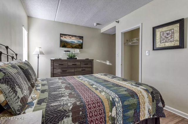 413 Baskins Creek Rd 501, Gatlinburg, TN 37738