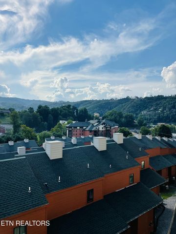 413 Baskins Creek Rd 501, Gatlinburg, TN 37738
