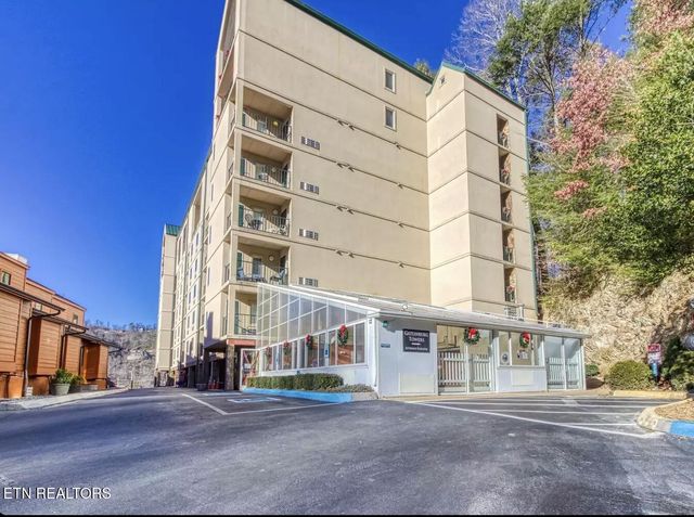 413 Baskins Creek Rd 501, Gatlinburg, TN 37738