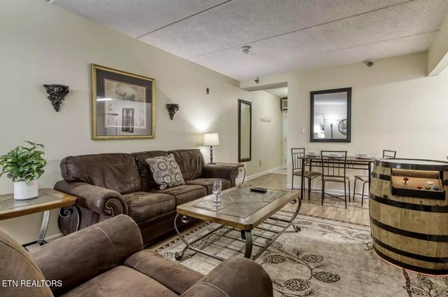 413 Baskins Creek Rd 501, Gatlinburg, TN 37738