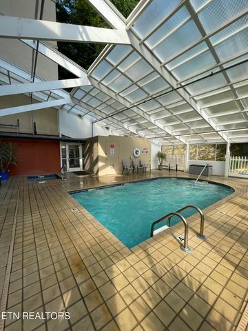 413 Baskins Creek Rd 501, Gatlinburg, TN 37738